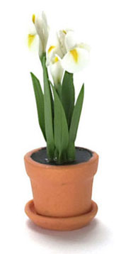 Dollhouse Miniature White Iris In Pot